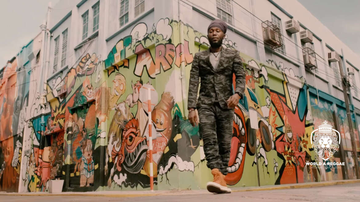 All Things Bright – Earth Warrior (Music Video) – World A Reggae EntertainmentWorld A Reggae Entertainment