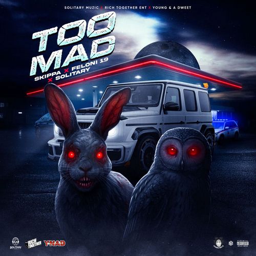 SKIPPA X FELONI19 – TOO MAD (AUDIO & MUSIC VIDEO)