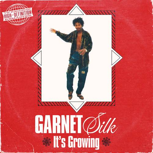 Review | Garnet Silk – It’s Growing