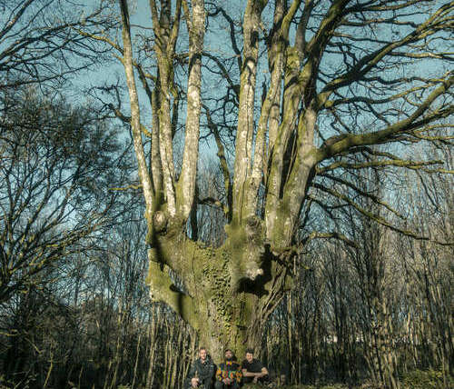 Review | Brais Ninguén & Couto 90 – Roots & Shadows