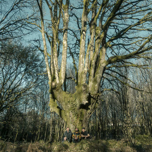 Review | Brais Ninguén & Couto 90 – Roots & Shadows