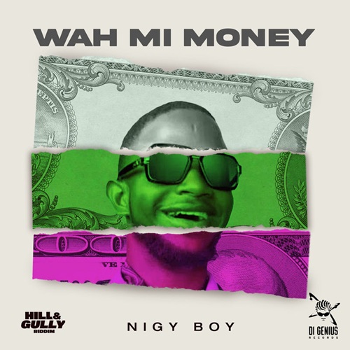 NIGY BOY – WAH MI MONEY (AUDIO & MUSIC VIDEO) – HILL N GULLY RIDDIM – DI GENIUS PRODUCTION