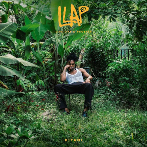 Review | D’Yani – Live Life & Prosper (LLAP)