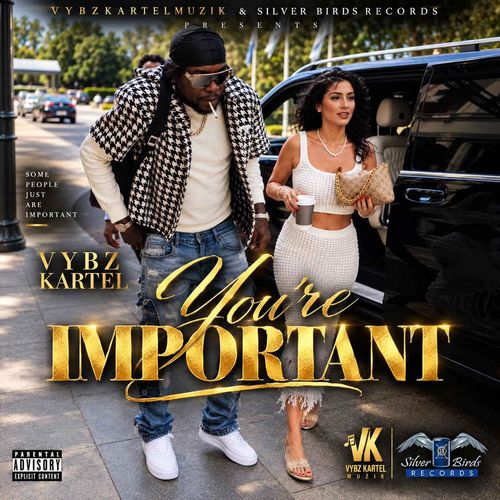 VYBZ KARTEL – YOU’RE IMPORTANT (AUDIO & MUSIC VIDEO) – VYBZ KARTEL MUZIK & SILVER BIRDS RECORDS